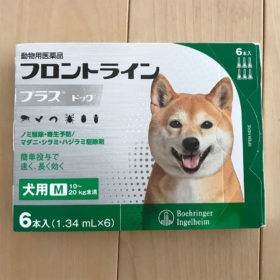 フロントライン犬用 M 10～20kg未満を小型犬二匹に分けて使うと良い感じ